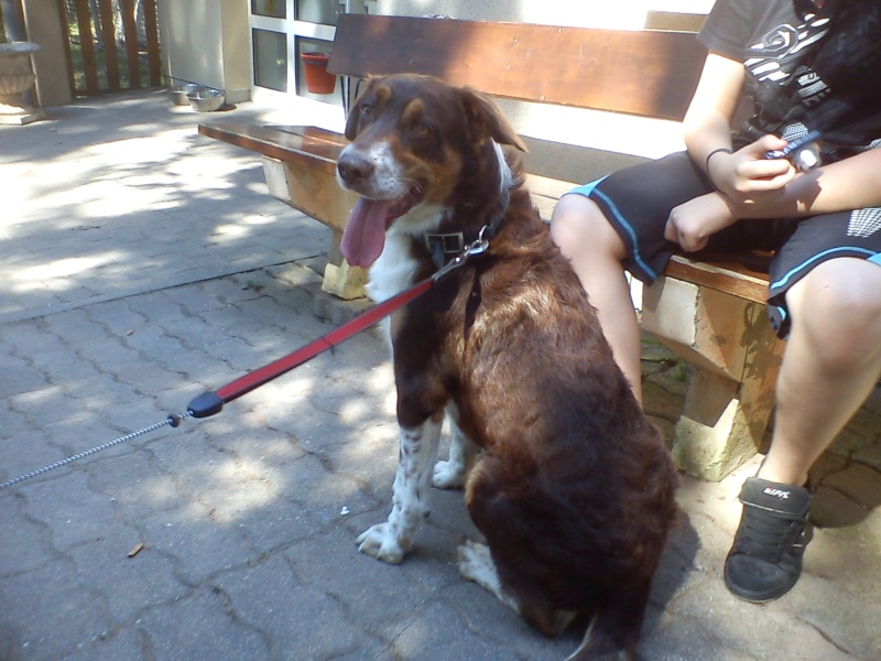 Des photos d'Athos du refuge de Forbach adopté en mars 2007 Dsc02510