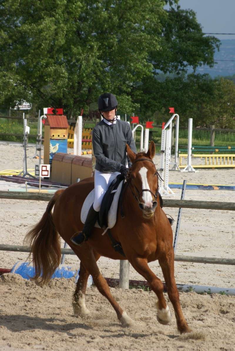 les photos du concours de dressage  vic le Comte Dsc03211