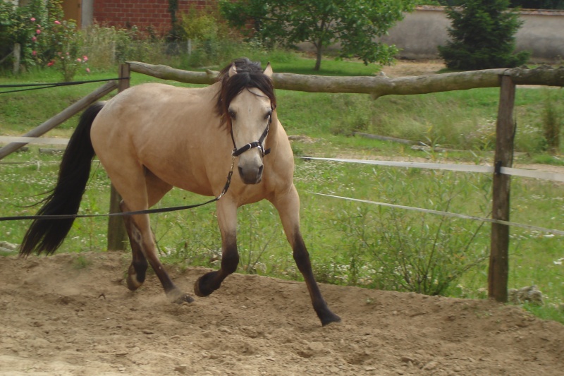 Quick Silver, mon dadou a moi!! Dsc01011