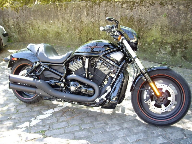 mon bb Harley12