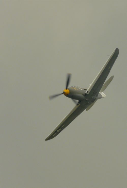 Warbirds - Ferté Alais 2008 Ferte_12