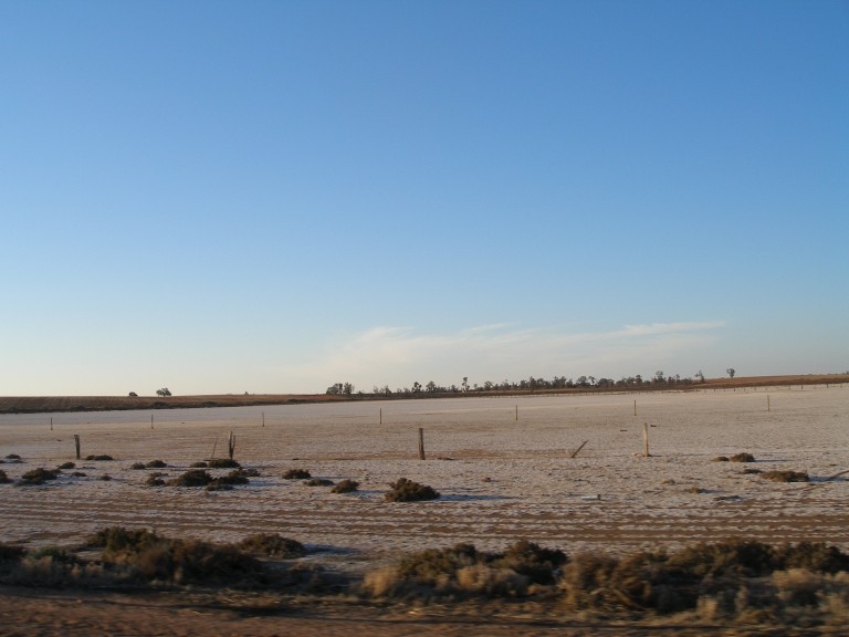 Pictures of the Mallee Mallee15