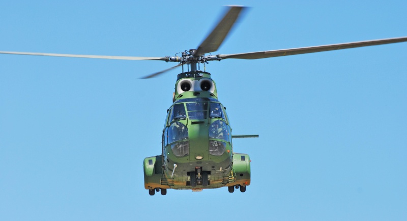 Meeting aviatic - 55 DE ANI DE AVIAŢIE MILITARĂ PE TIMIŞOARA Dsc_6513