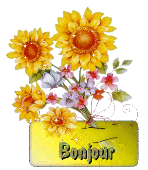 jeux fini fanyfany - Page 2 C94b3910