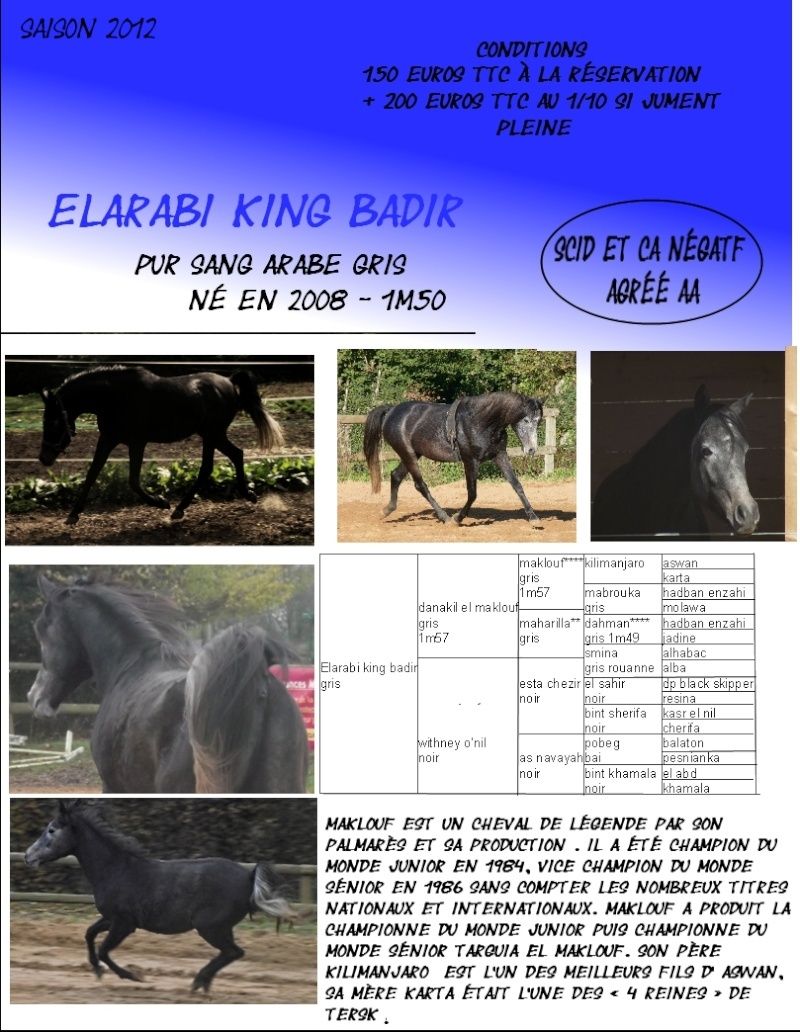 Elarabi King Badir, Psar par Danakil el Maklouf Projet10