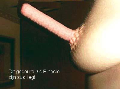 Pinoccio pembohong Cdc3dc10