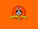 looney tunes Looney10