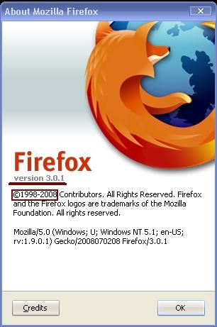  -      Mozilla Firefox v3.01 -       110