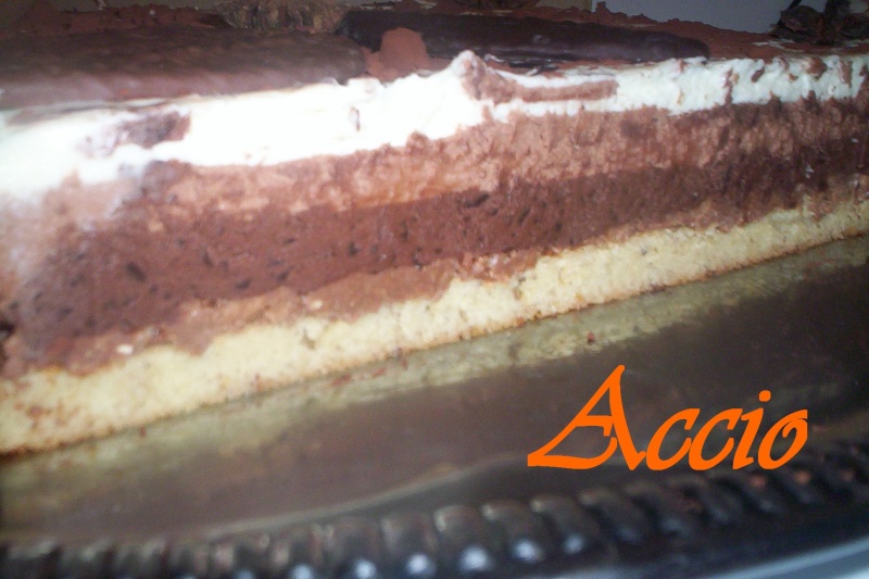Gâteau 3 chocolats - Page 8 3_choc14