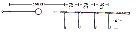 Linea para pescar lisas Linea_10