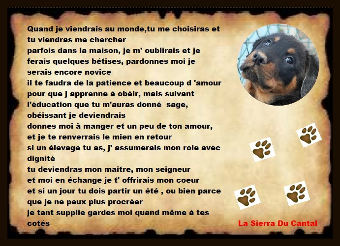 petite creation  Poeme10