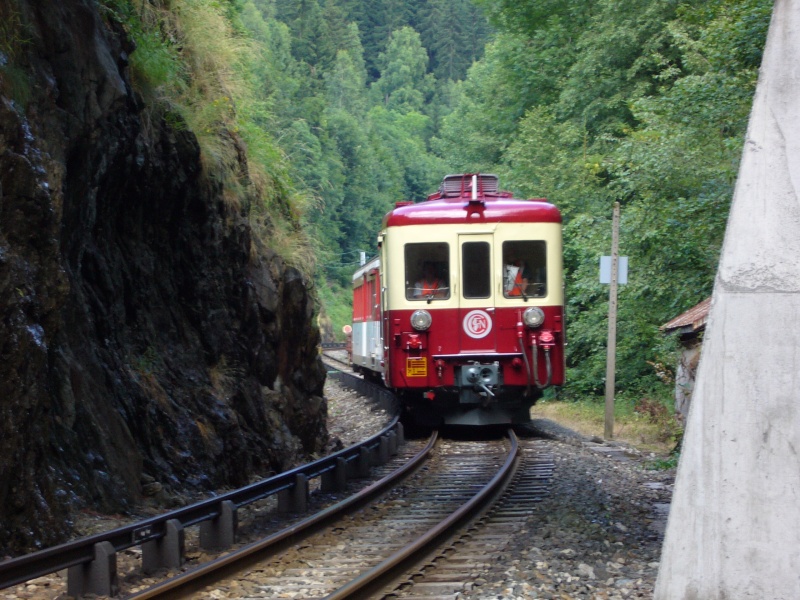 Z 604 et z 209  exposes lors du centenaire du mont blanc express P1010112