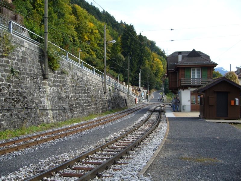 Petite vire en suisse. P1010615