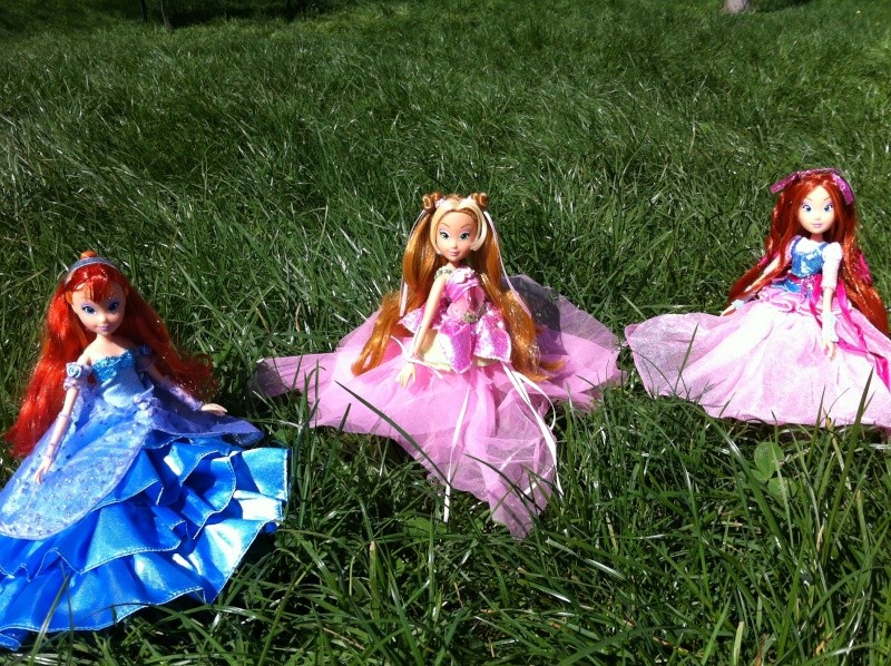 Ma collection des Winx par Vanessa - Page 3 Img_7413