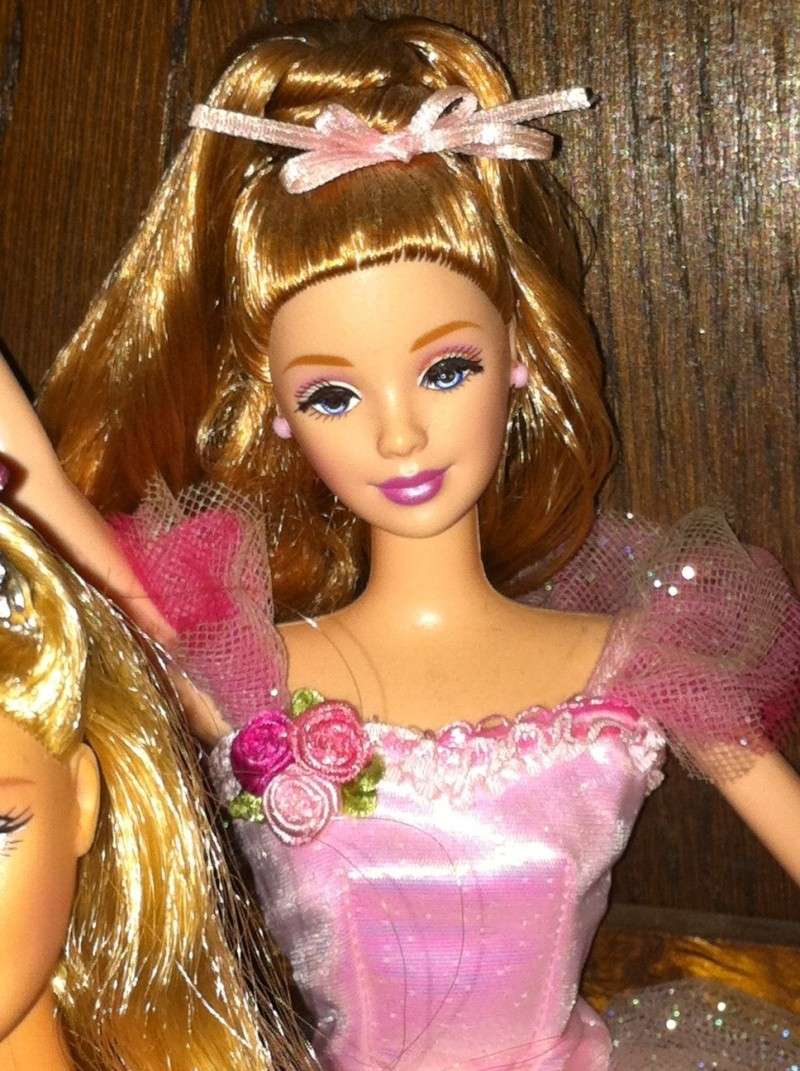 ma collection de Barbie - Page 5 Photo533