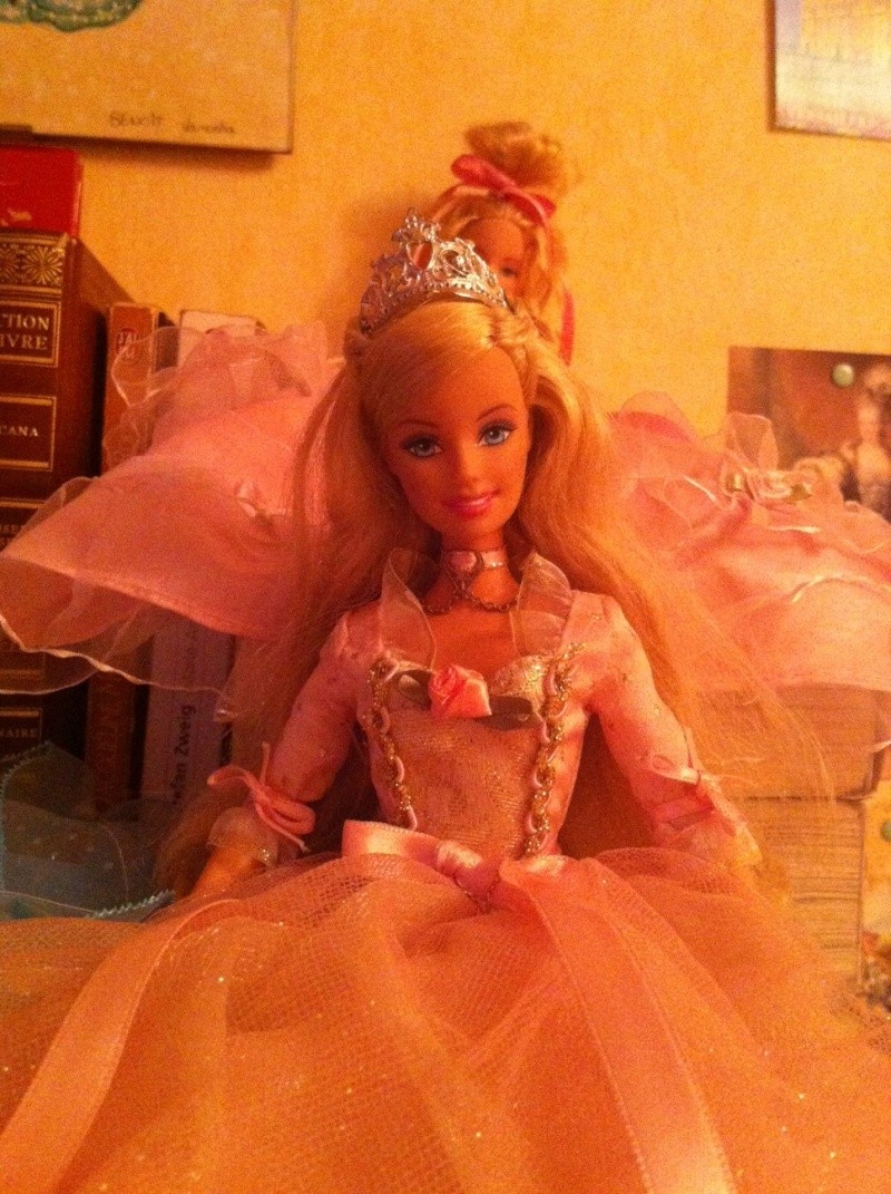ma collection de Barbie - Page 6 Photo849