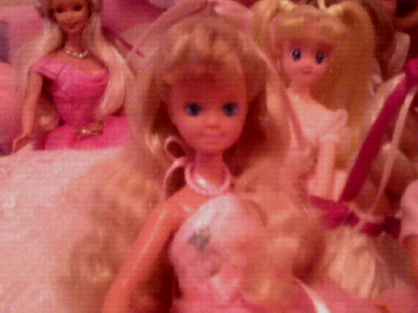 ma collection de Barbie - Page 6 Photo925