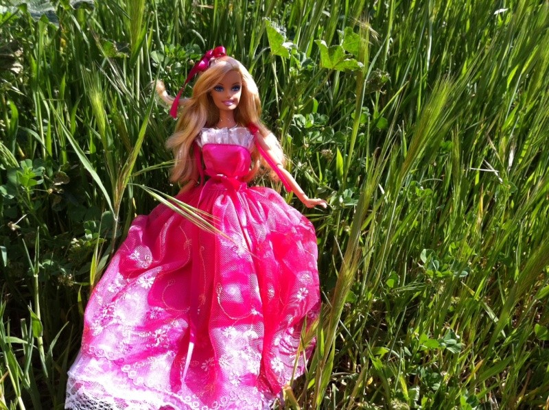 ma collection de Barbie - Page 5 Photo_57
