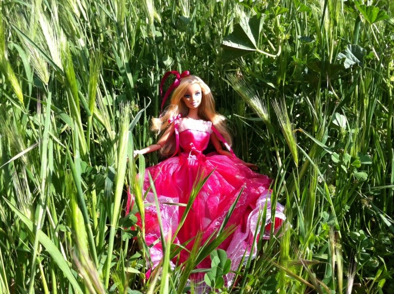 ma collection de Barbie - Page 5 Photo_63