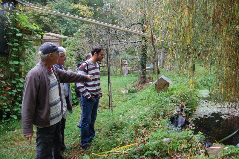 VISITE CHEZ JACQUES QUINTIN  Dsc_0137