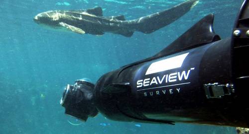 Google Seaview: conheça a versão subaquática do Google Street View 20120211