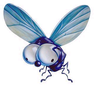 Estudo indica que moscas rejeitadas recorrem ao álcool Mosca10