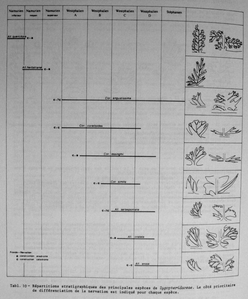 Spécimens à identifier (samples that need identification ) - Page 2 02210