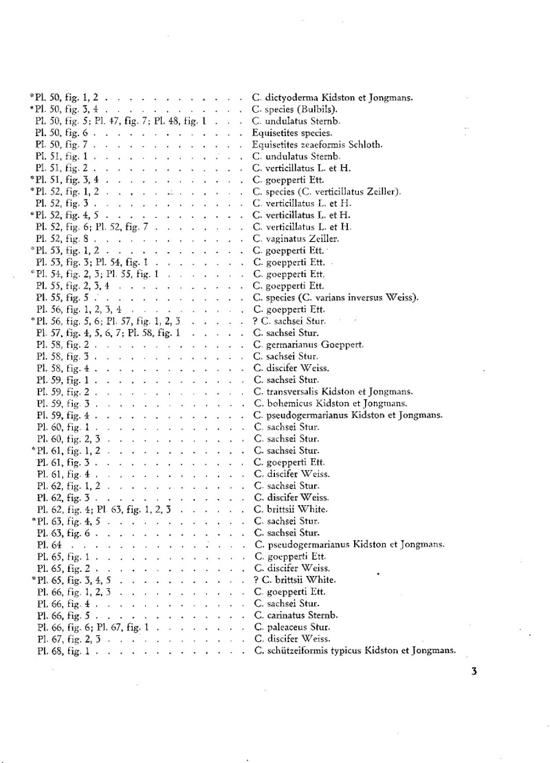 Calamites Schlotheim ,1820.  Annularia sternberg , 1822 .  - Page 3 Pl_0a410
