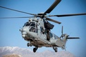 Dossier : douze hélicoptères au banc d'essai(Source Ministère des Armées et des Anciens Combattants) Le_car10