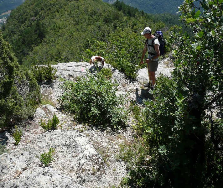 2eme photo du vercors 2007_017