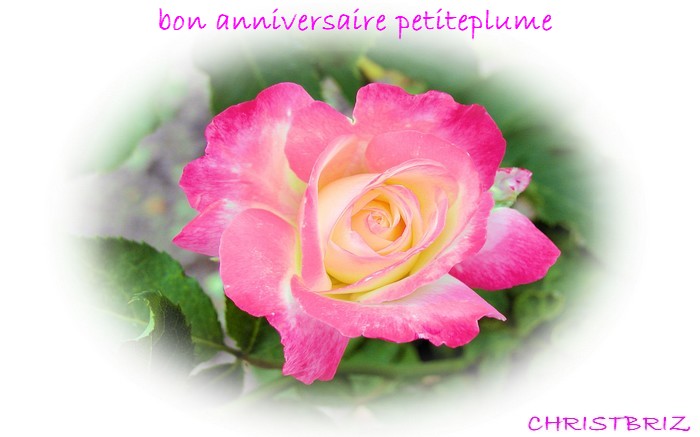 Bon anniversaire Petite Plume Rose2010