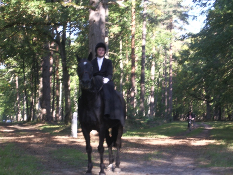 Chasse d' entrainement en forêt de Cheverny - 28/09/11 Imgp7521