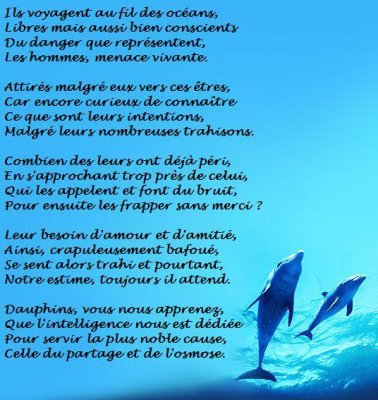 "les dauphins"envoyer par josiane 26653310