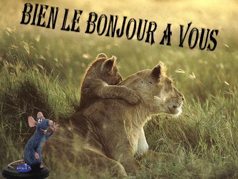 bonjour - bien le bonjour à vous" et bon vendredi -josiane 8faad210