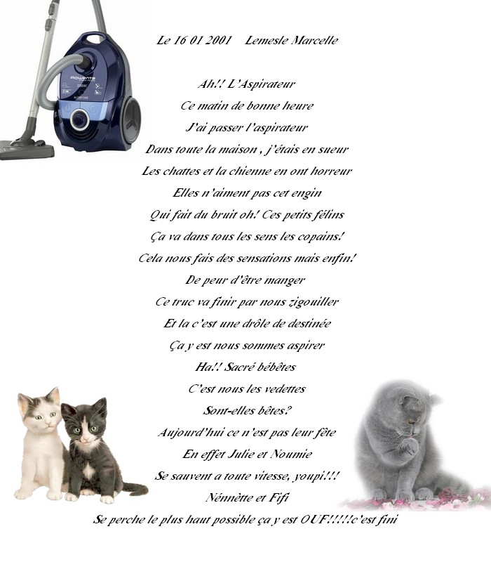 elegante demoiselle poeme de jcl Le_16_11