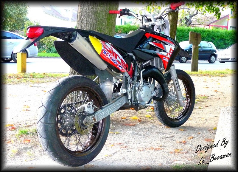 Sherco Black panther MGT/Birel P1010510