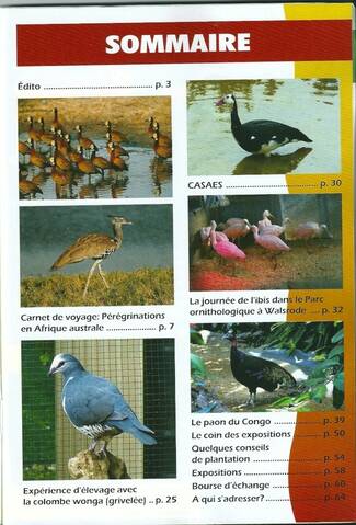 AVIORNIS FRANCE. - Page 2