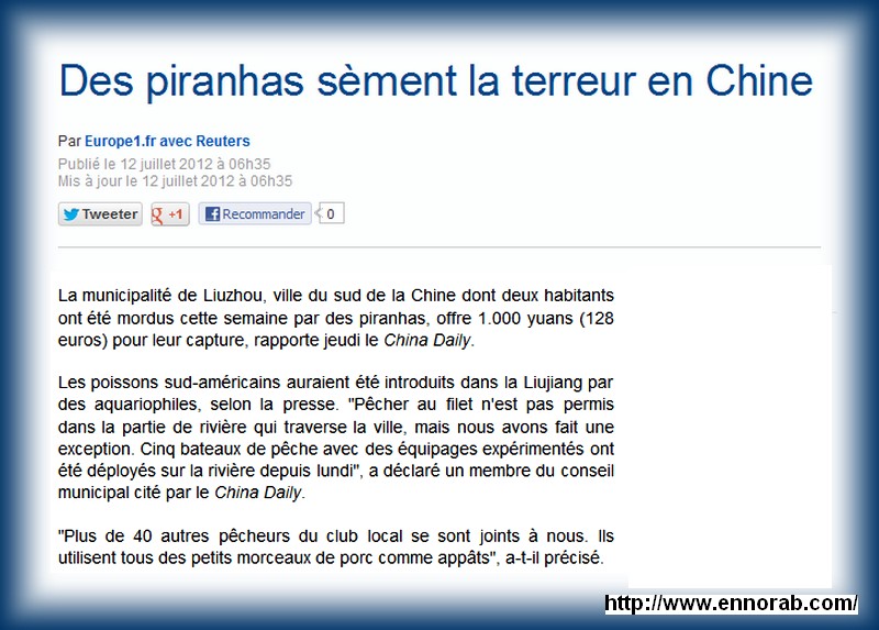 Des piranhas sèment la terreur en Chine 11a29