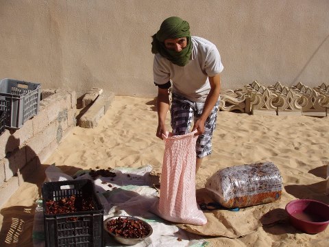 كيفية حشو بطانة التمر في وادي سوف 9168_310