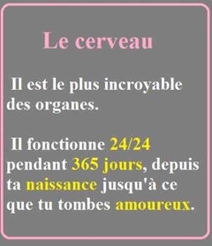 humour en images II - Page 8 0210