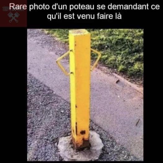 humour en images II - Page 9 41400710