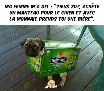 humour en images II - Page 12 Chien_10