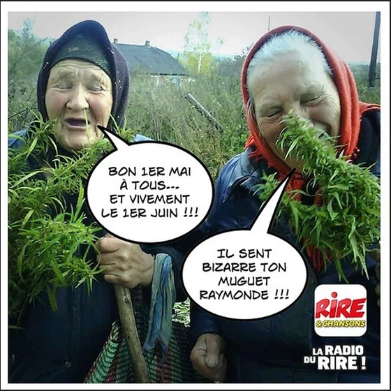 humour en images II - Page 17 Medias25