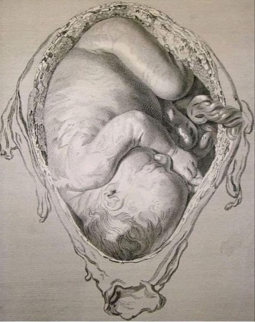 Hamileyken bebeğin hücreleri annenin kan dolaşımına göç eder ve daha sonra tekrar bebeğe döner, buna “fetal-maternal mikrokimerizm” denir. 25185710