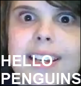 Hallo my fellow penguins! Hello10