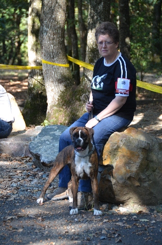 Fun lady du Haras des Fougeres (boxer) Eri_0910