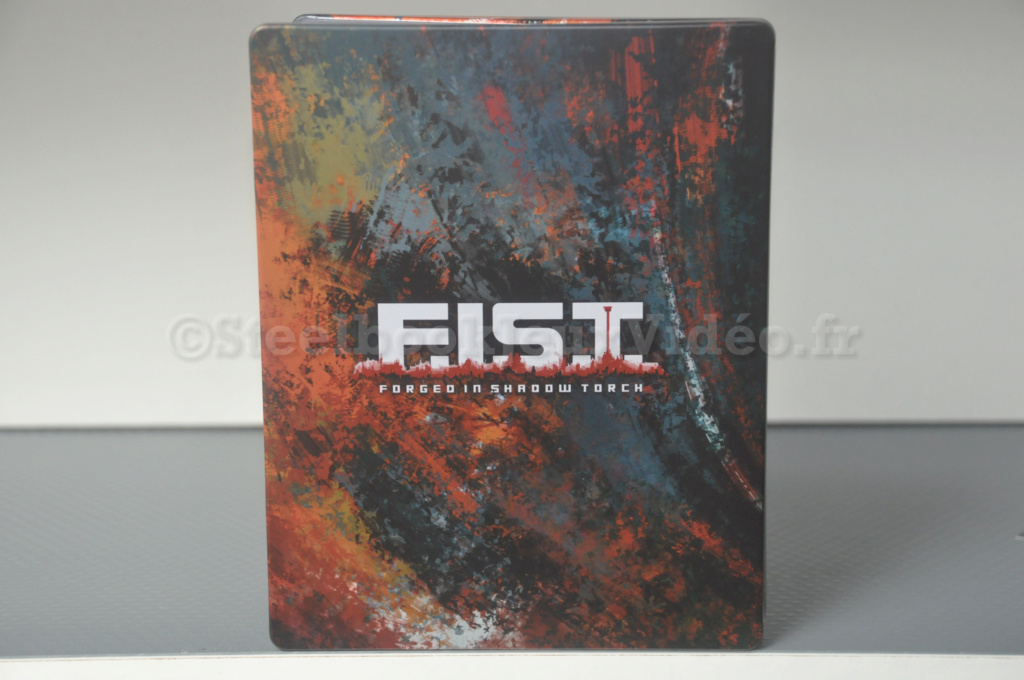 unboxing - F.I.S.T. : Forged In Shadow Torch Dsc_0810