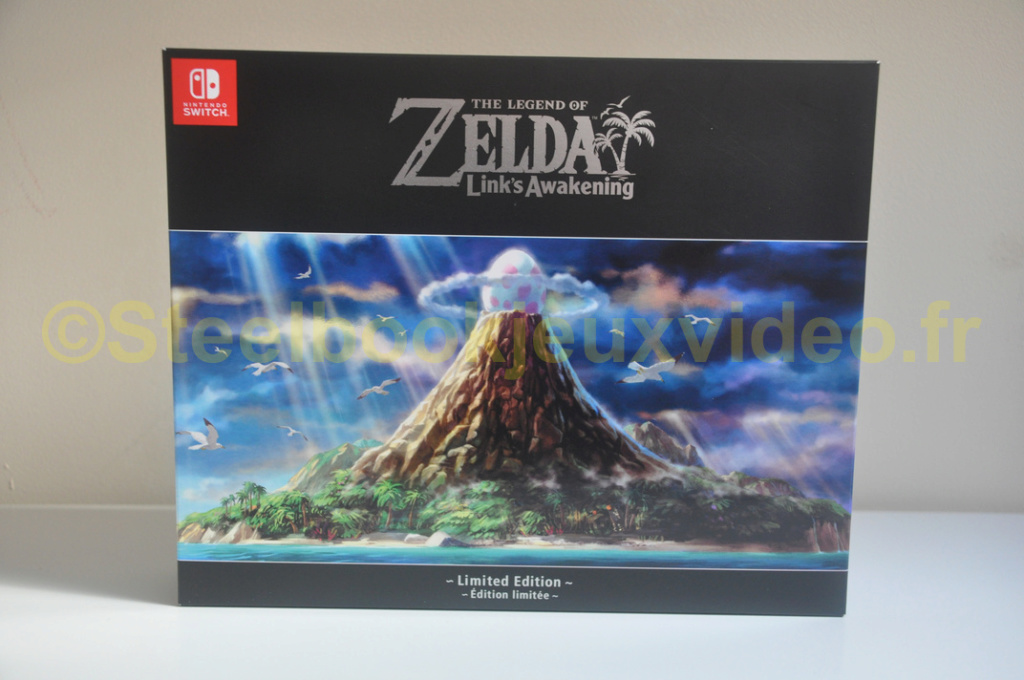 The Legend Of Zelda Link's Awakening - Edition Limitée Editio45