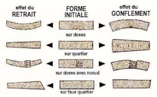 Les déformations du bois  Figure10