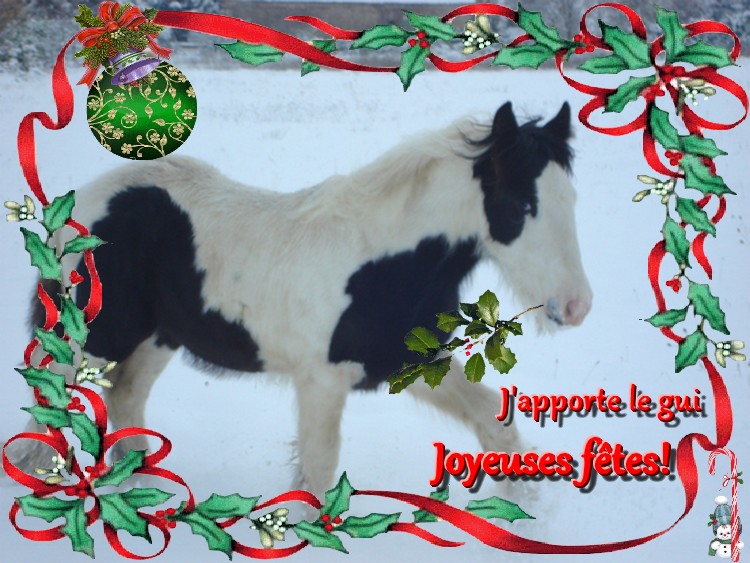 Votez pour votre montage de Noël préféré ! 01-12-11